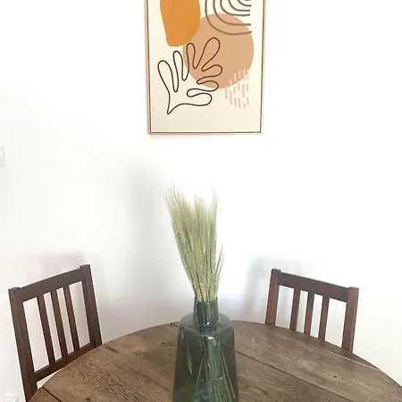 & Lumineux A Apartment Carcassonne